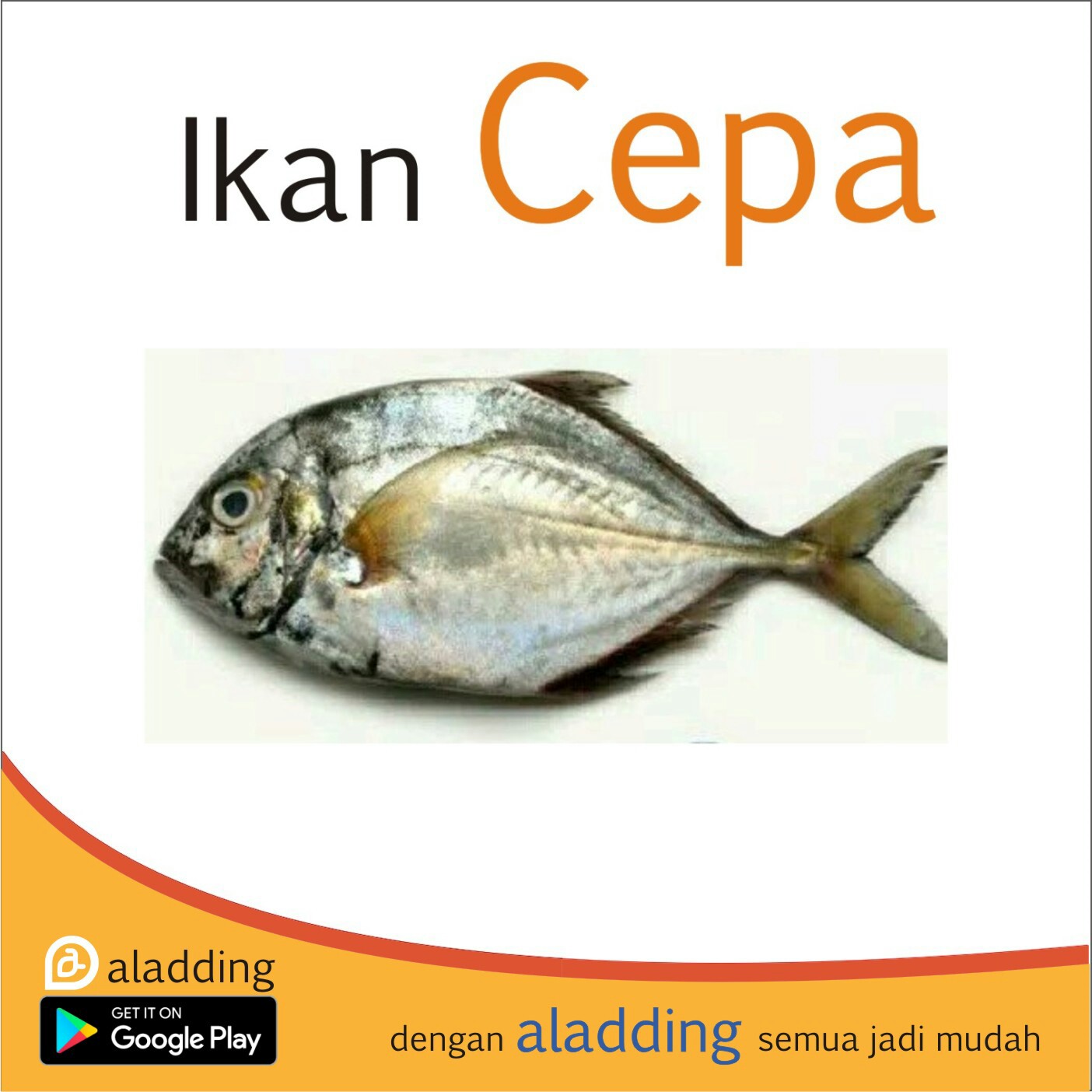 Ikan Cepa 1kg
