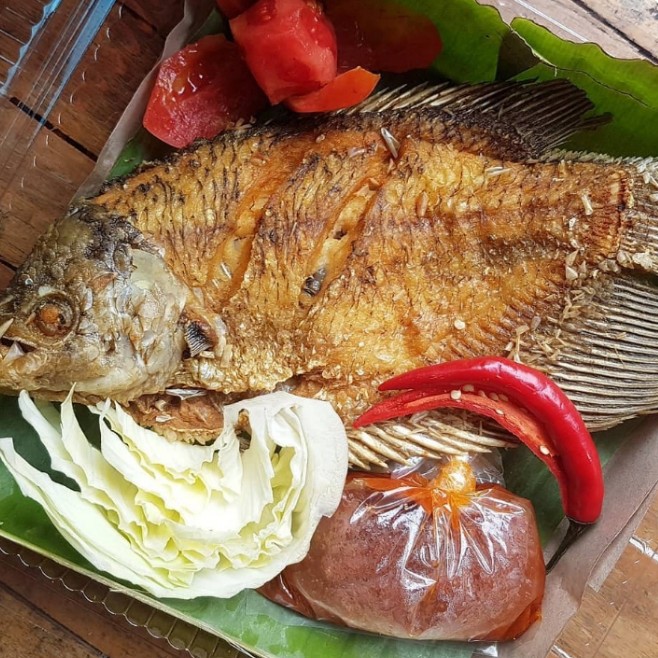 Ikan Gurame