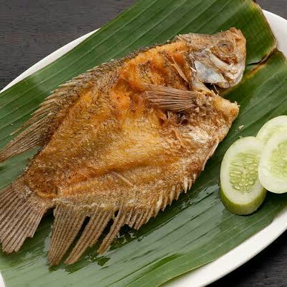 Ikan Gurami Goreng