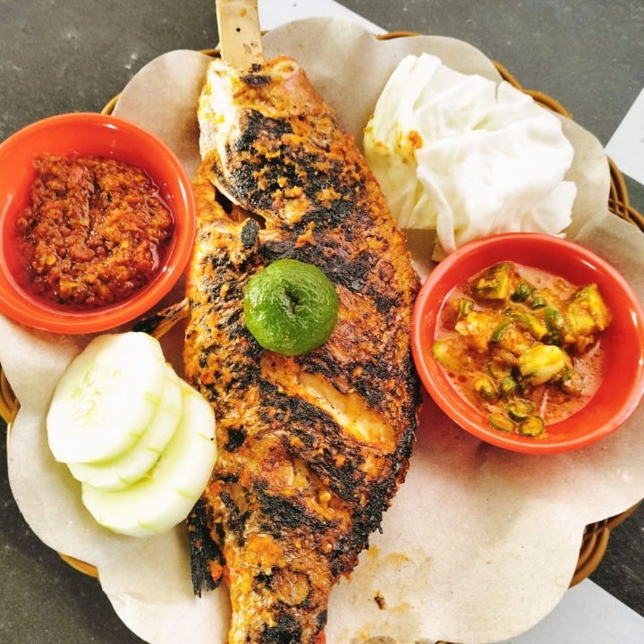 Ikan Kakap Merah