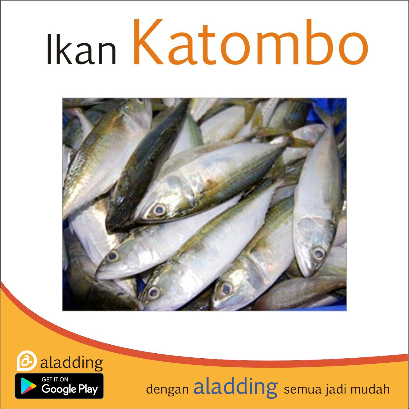 Ikan Katombo 1kg