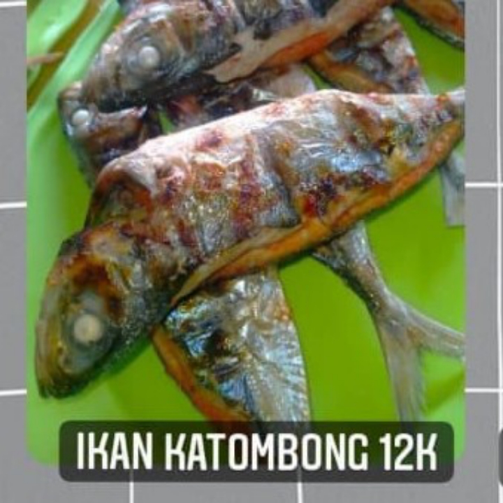 Ikan Katombong