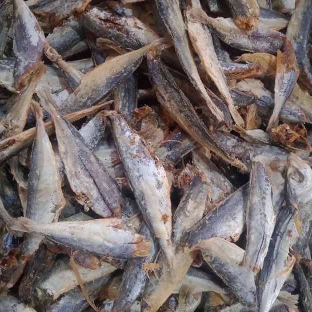 Ikan Kelotok Tawar 50 gram