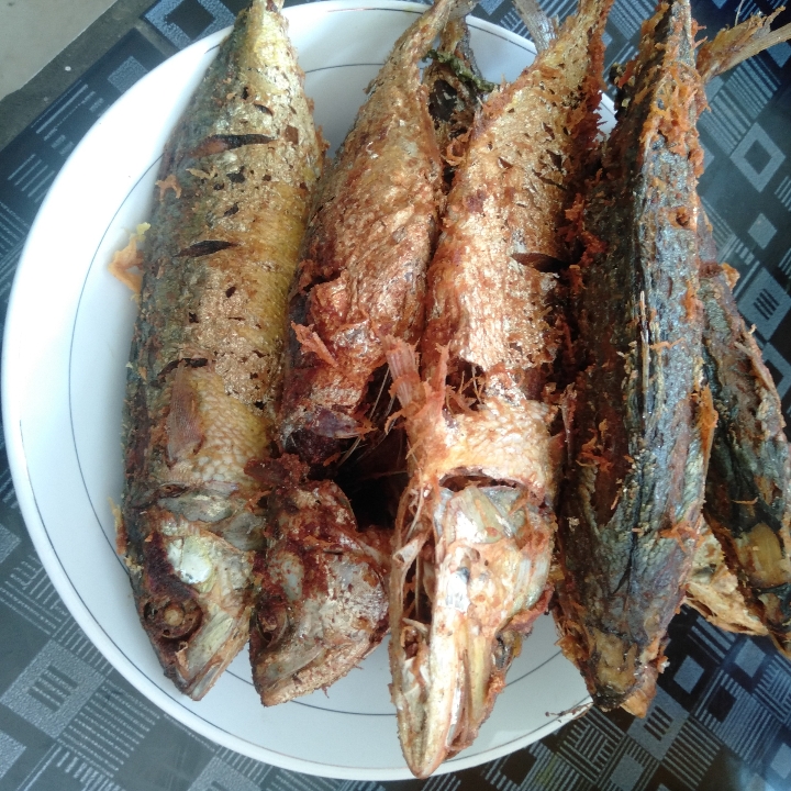 Ikan Kembung