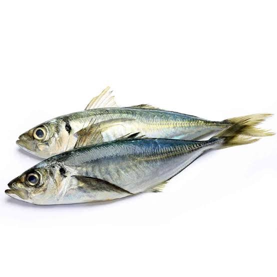 Ikan Kembung Layang