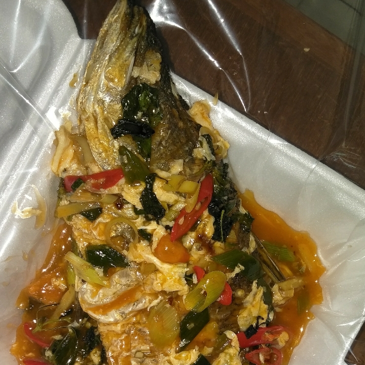 Ikan Kerapu