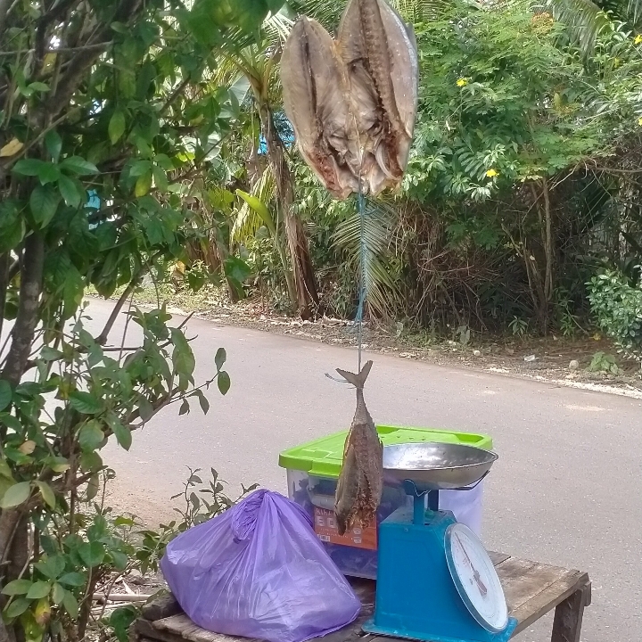 Ikan Kering