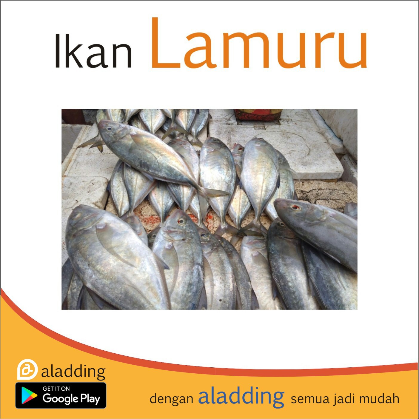 Ikan Lamuru 1kg