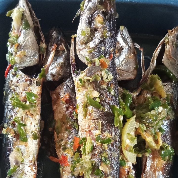 Ikan Laut Smbel