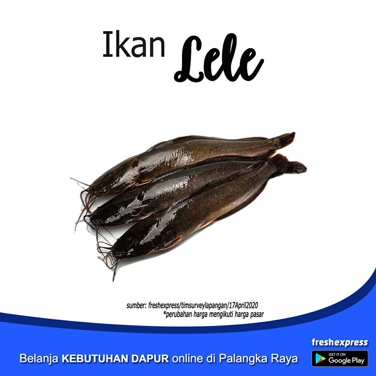 Ikan Lele - 1Kg