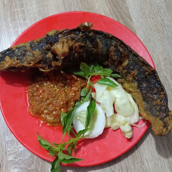 Ikan Lele