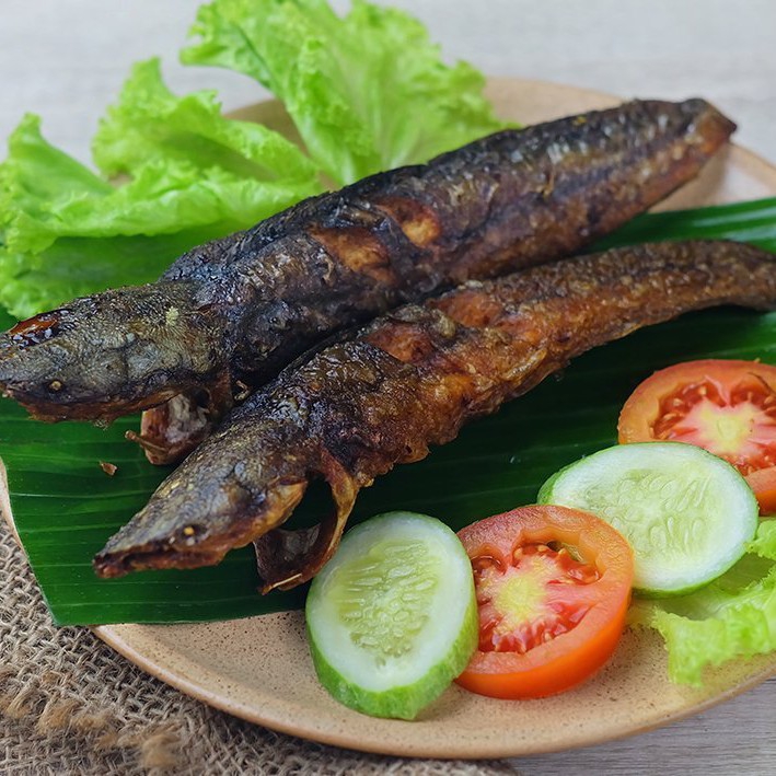 Ikan Lele Bakar