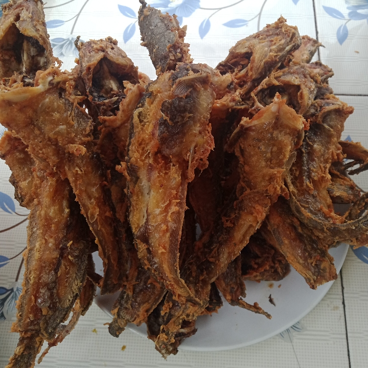 Ikan Lele Dengan Nasi