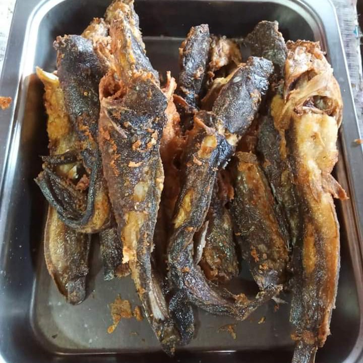 Ikan Lele Goreng