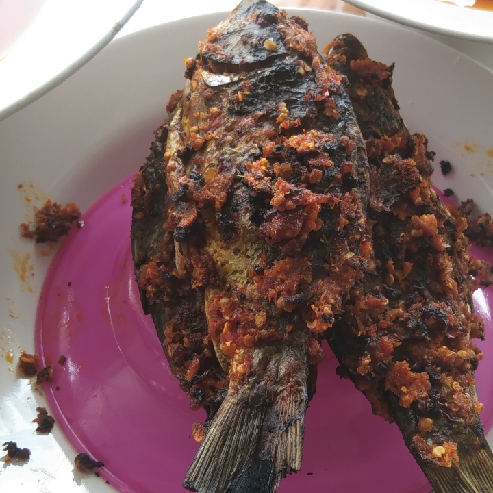 Ikan Mas Bakar Bumbu Padang Dengan Nasi