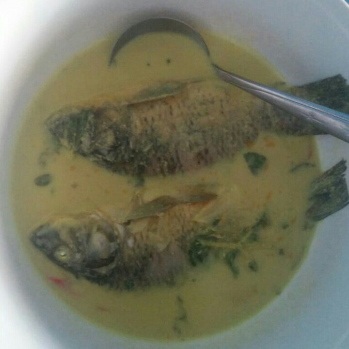 Ikan Mas Sayur