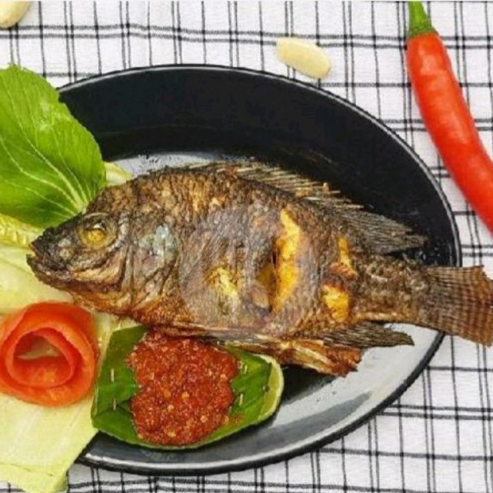 Ikan Mujair 
