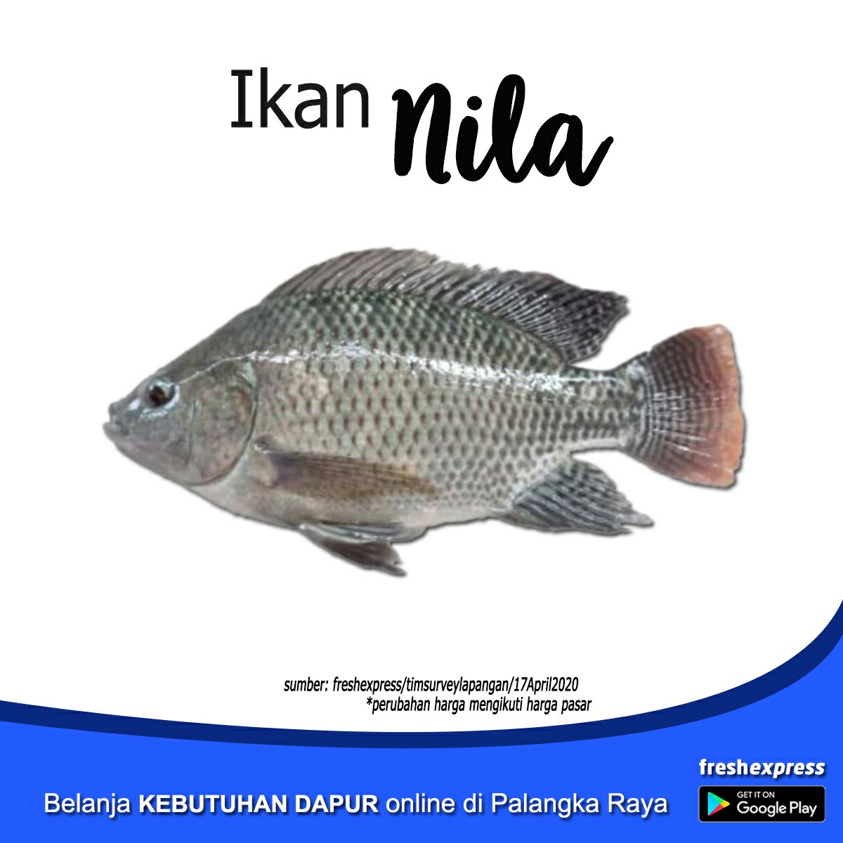 Ikan Nila - Setengah Kg