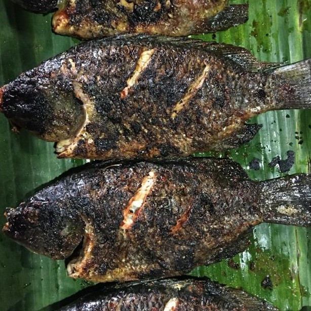 Ikan Nila Bakar