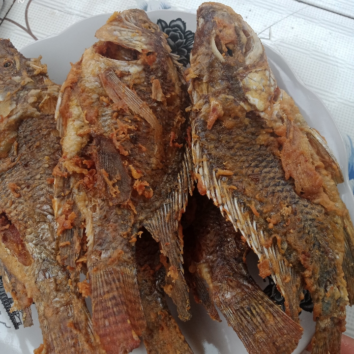 Ikan Nila Dengan Nasi