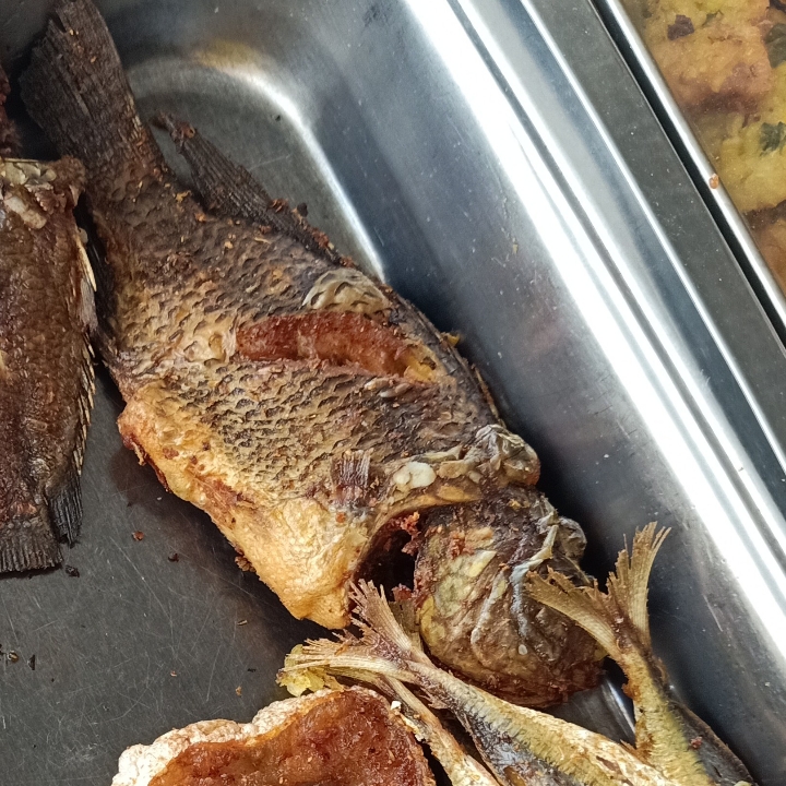 Ikan Nila Goreng