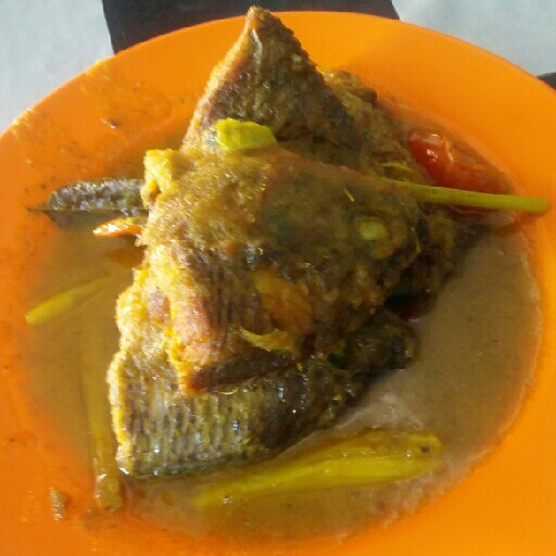 Ikan Nila Kuning