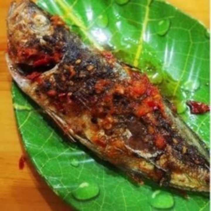 Paket Ikan Oci Bakar Dabu