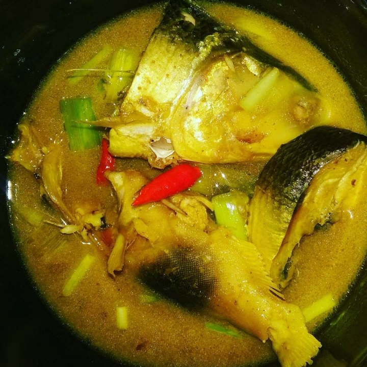Ikan Pallumarah