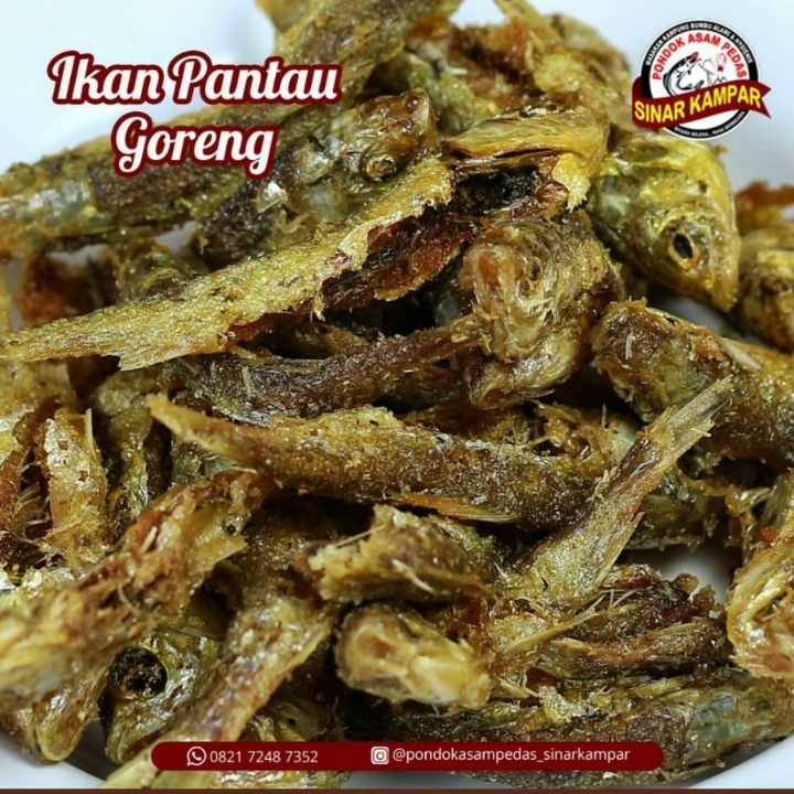 Ikan Pantau Goreng 