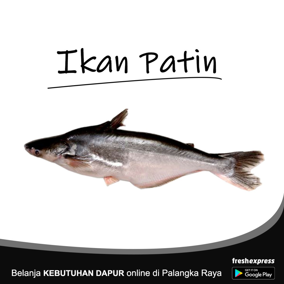 Ikan Patin - Setengah Kg