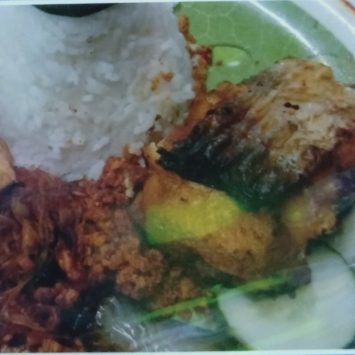 Ikan Patin