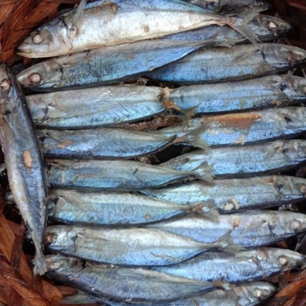 Ikan Pindang