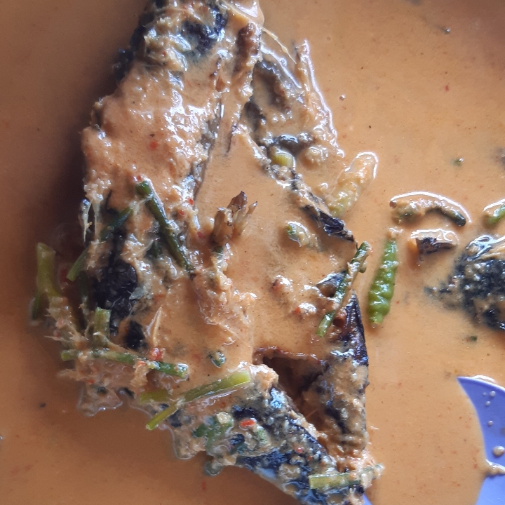 Ikan Sale Gulai