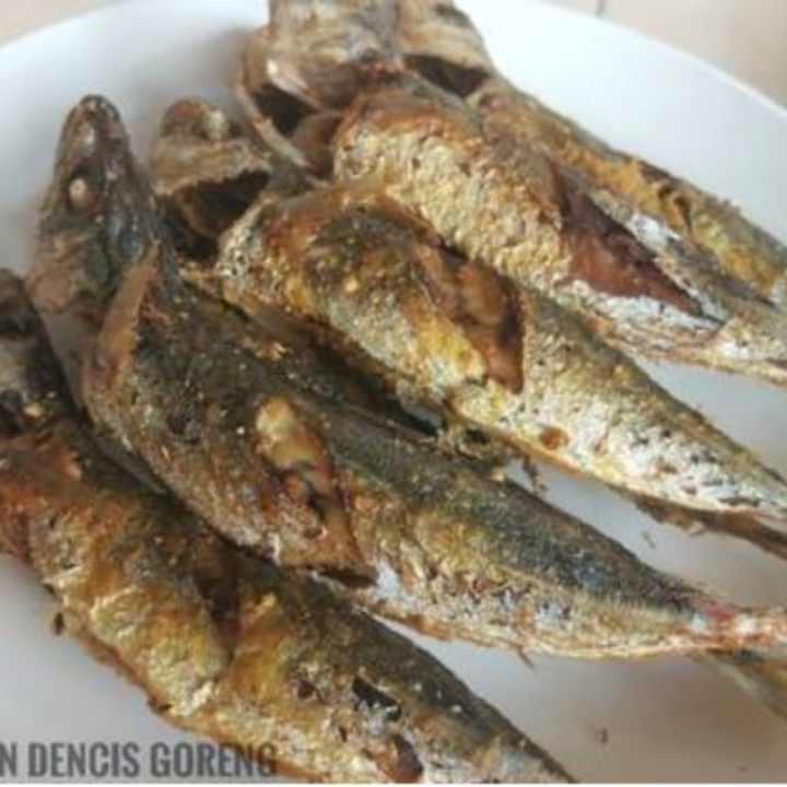 Ikan Sarden 