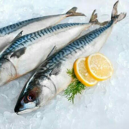 Ikan Serai
