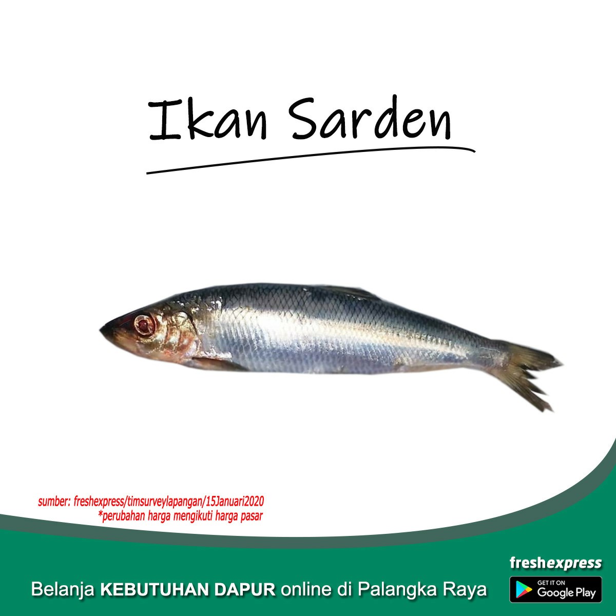 Ikan Sarden 1 Kg