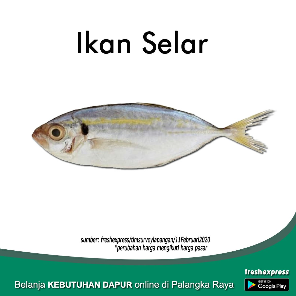Ikan Selar 1 Kg