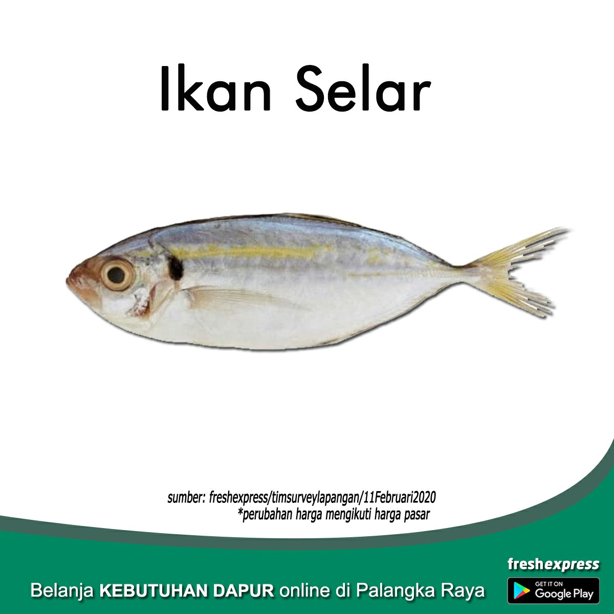 Ikan Selar 500 Gram