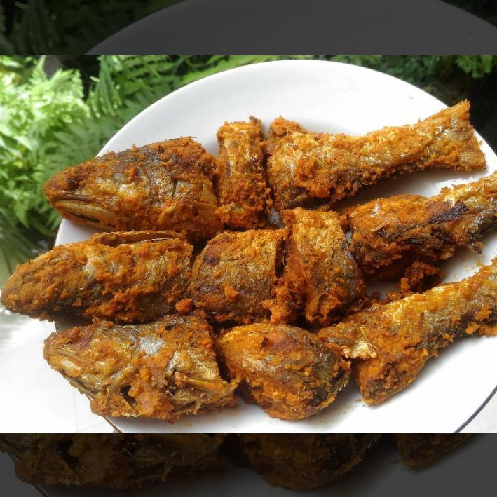 Ikan Senangin Tanpa Nasi