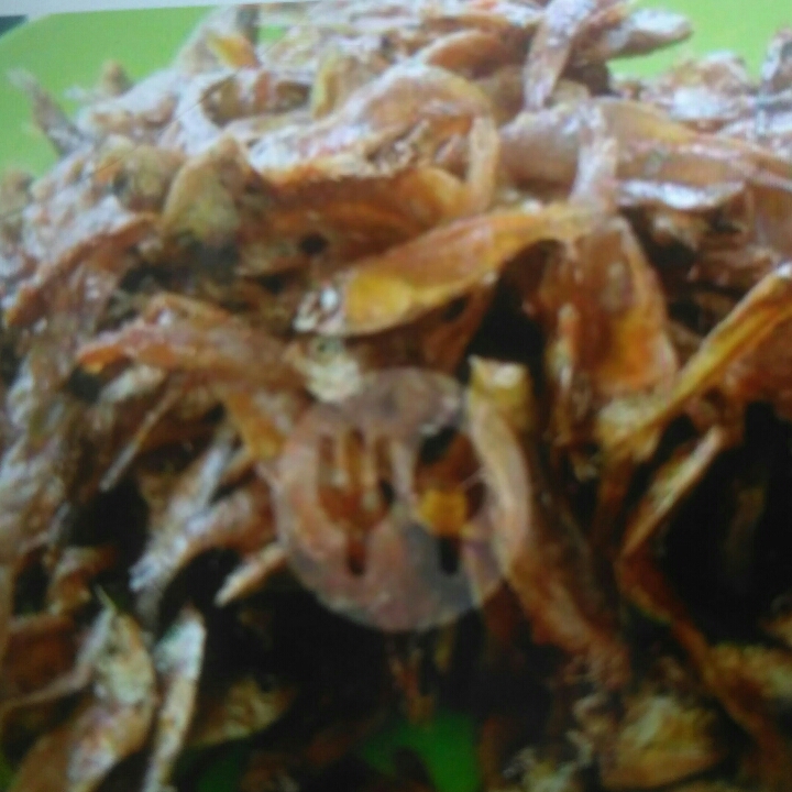 Ikan Tawar