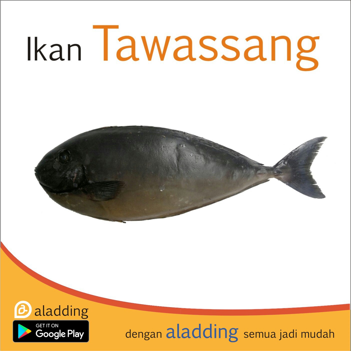 Ikan Tawassang 1kg