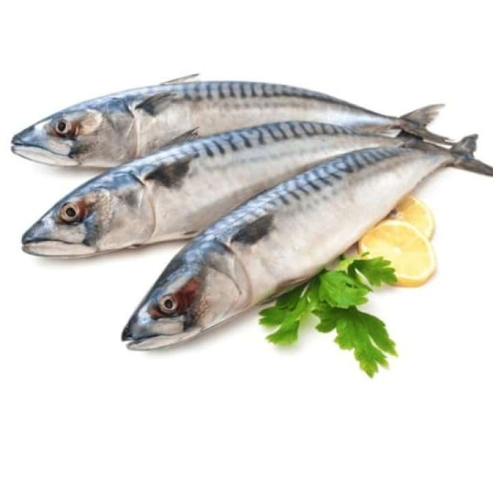 Ikan Tenggiri