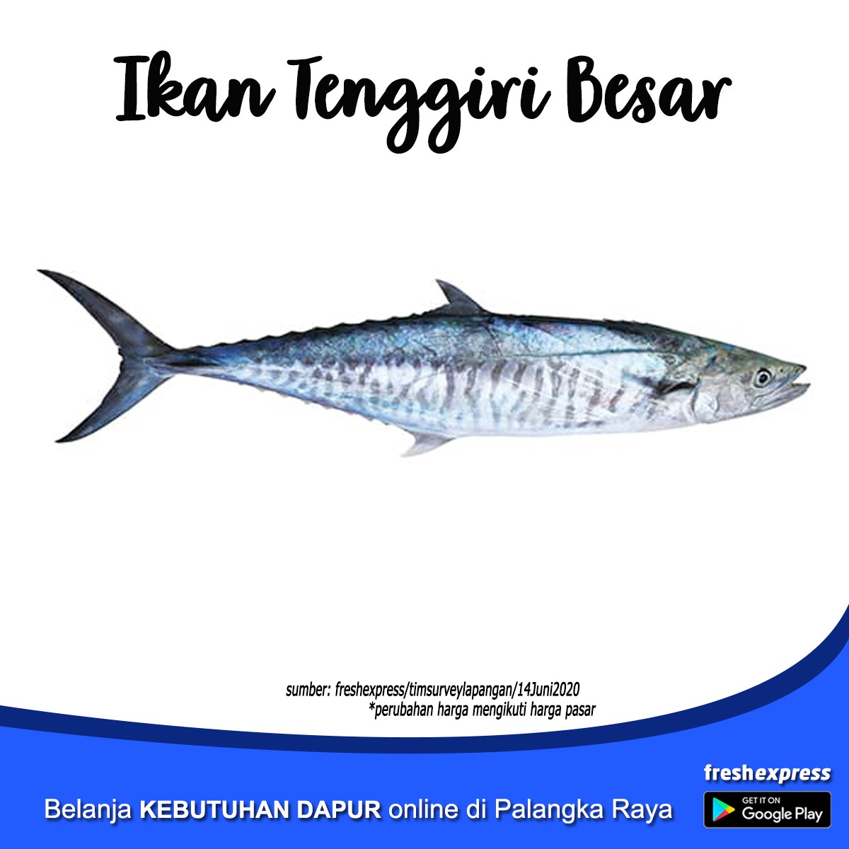 Ikan Tenggiri Besar 1 Kg