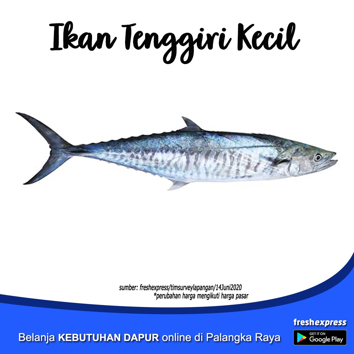 Ikan Tenggiri Kecil 1 Kg