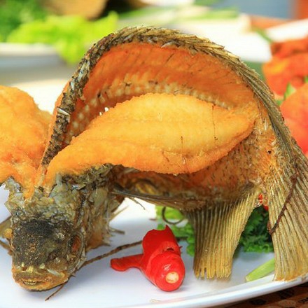Ikan Terbang Yonaris