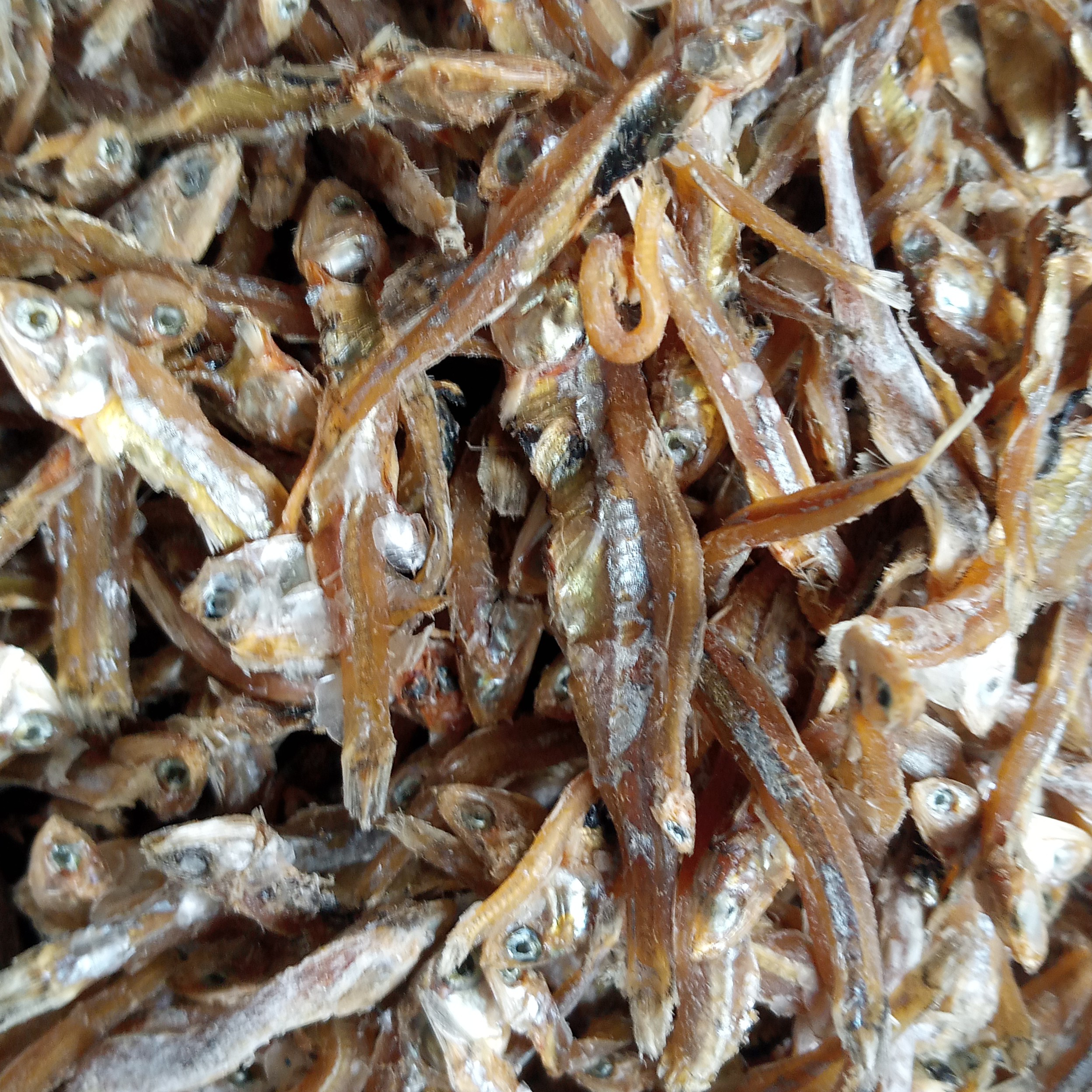 Ikan Teri 60 Gram