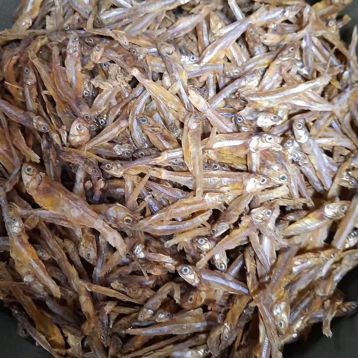 Ikan Teri Besar