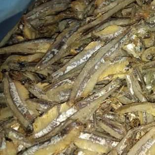 Ikan Teri Kacang