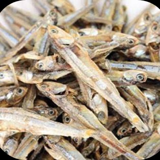 Ikan Teri Kasar