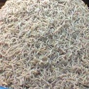 Ikan Teri Medan 100gr